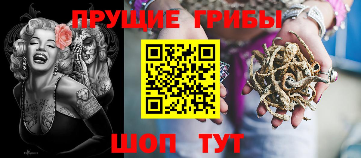 Ипатово  Псилоцибиновые грибы Psilocybine cubensis  Вход с VPN 